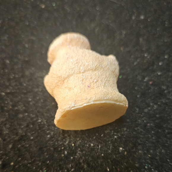 Figure - Picture 3 of 3